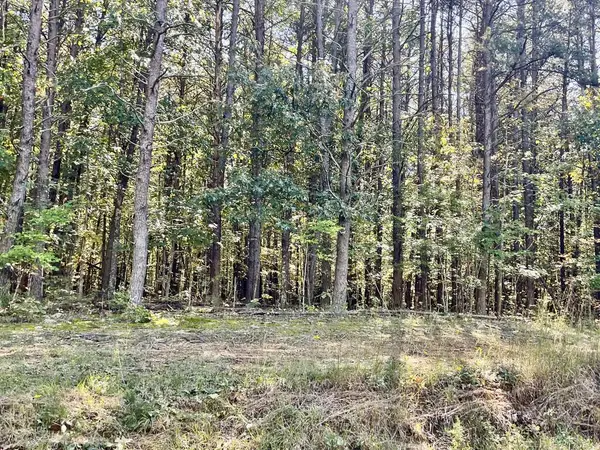 Mortons Ferry Road, Clover, VA 24534