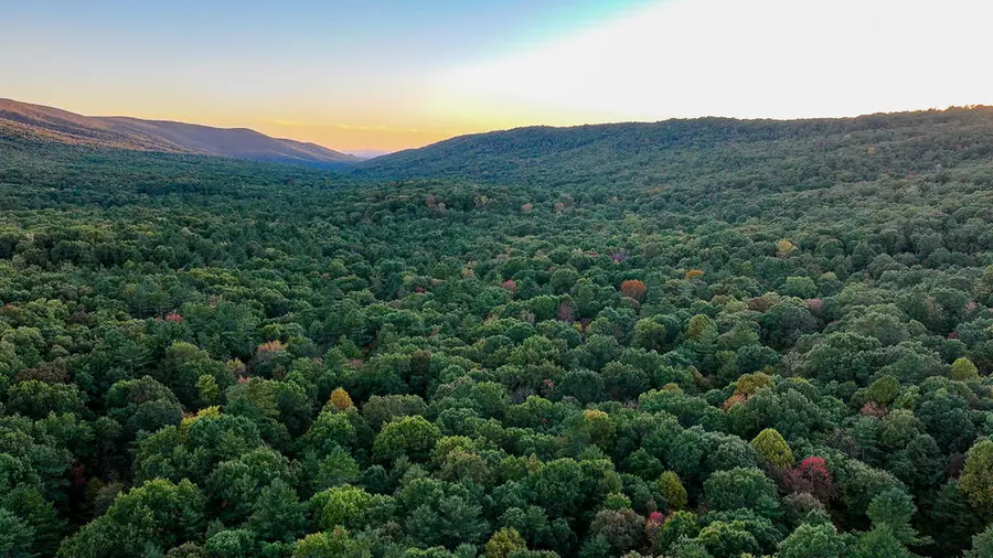 TBD Muddy Run Road, Williamsville, VA 24487 - #2