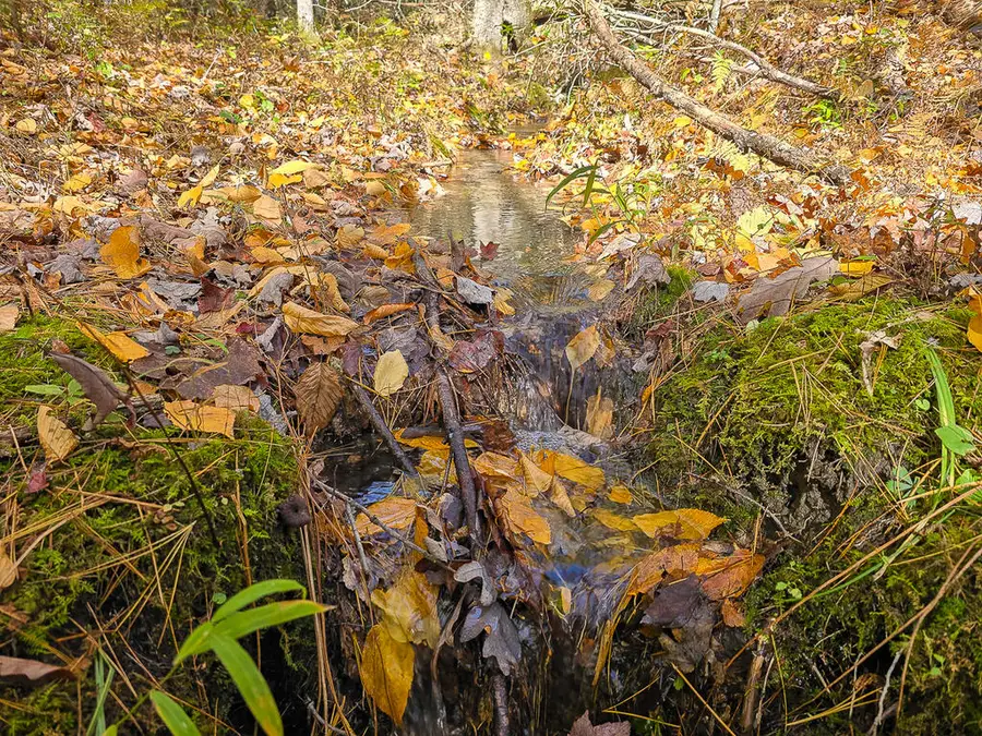TBD Muddy Run Road, Williamsville, VA 24487 - #3