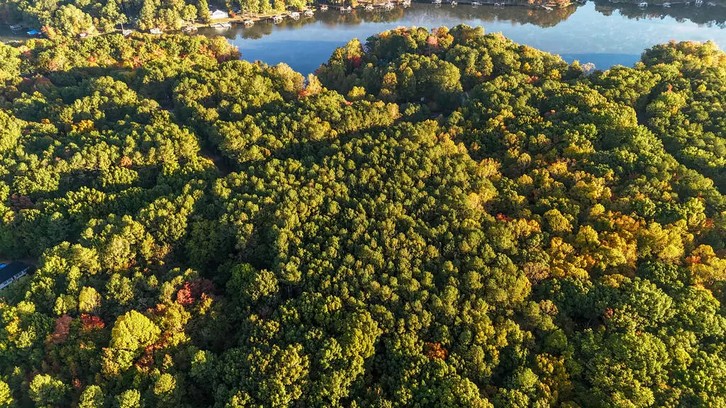 Lot 14 Hill Lane, Bracey, VA 23919 - #1