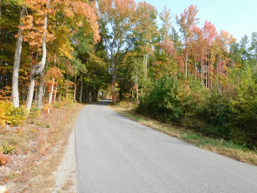 34.54 Ac Bold Springs Road, South Boston, VA 24592 - #2