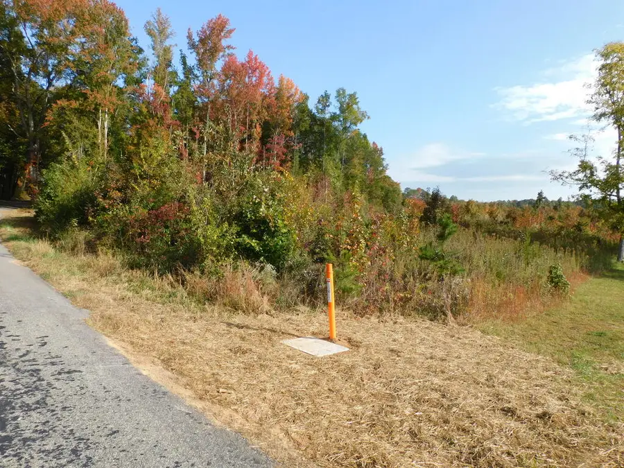 34.54 Ac Bold Springs Road, South Boston, VA 24592 - #3