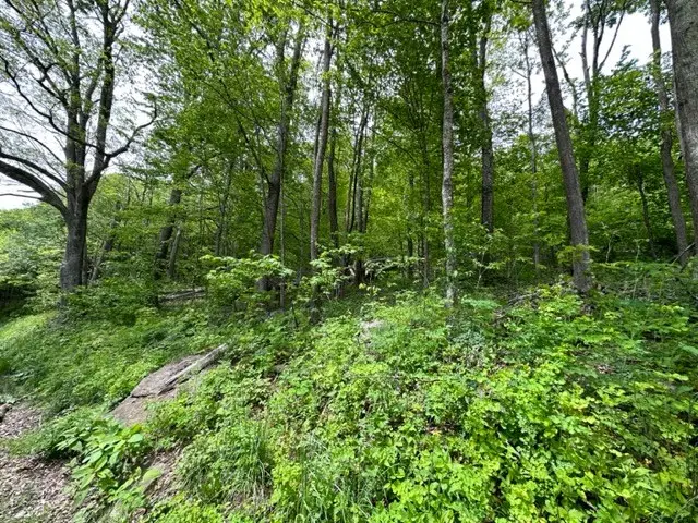 TBD Highlands Parkway, Mouth Of Wilson, VA 24348 - Image #2
