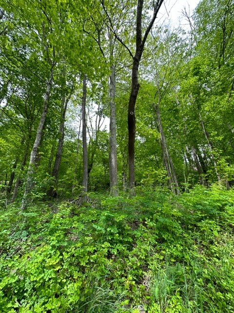 TBD Highlands Parkway, Mouth Of Wilson, VA 24348 - Image #3