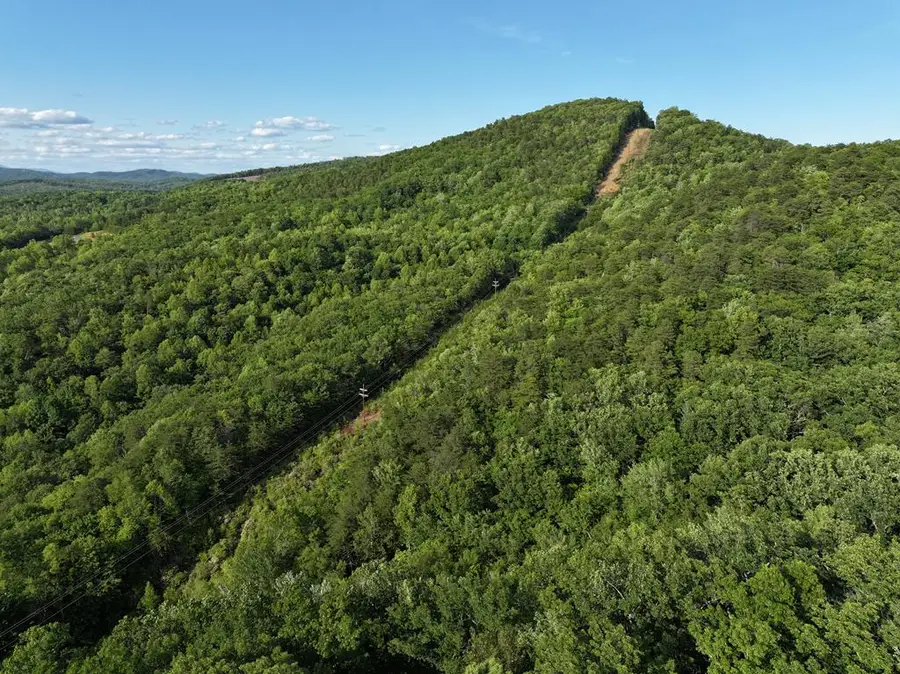 0 Old Mill Rd, Patrick Springs, VA 24133 - Image #2