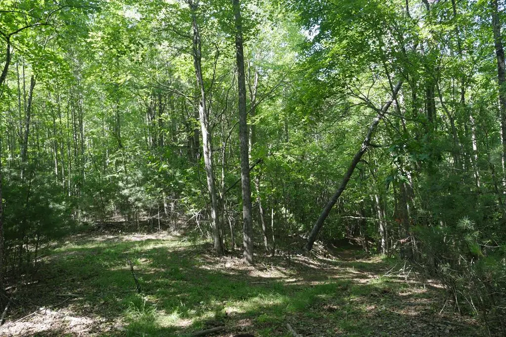 TBD Bedsaul Road, Galax, VA 24333 - Image #1