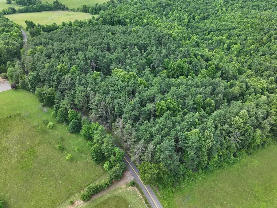 0 Red Rough Rd, Meadows Of Dan, VA 24120 - Image #2