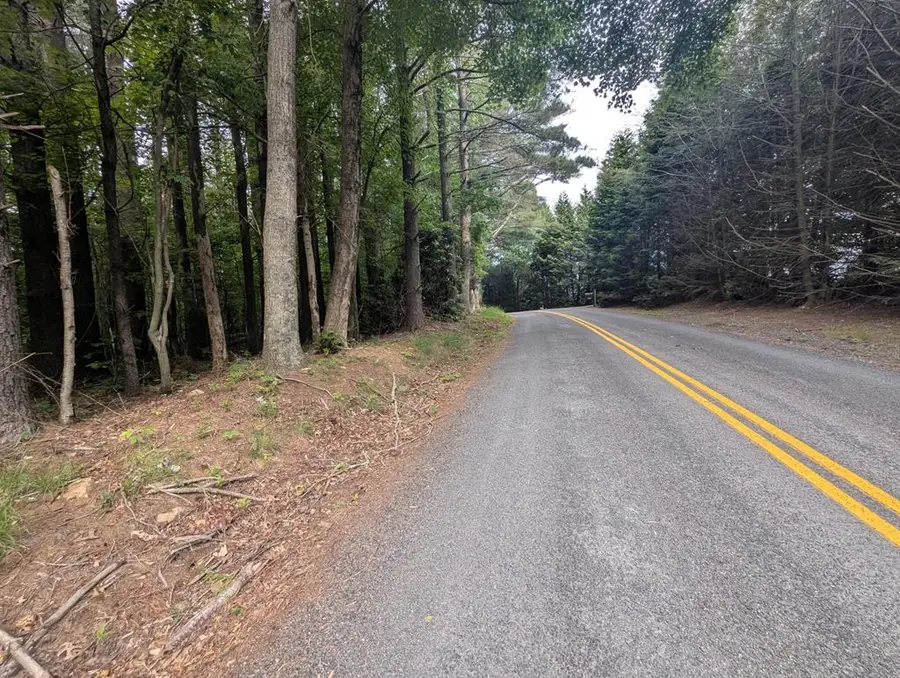 0 Red Rough Rd, Meadows Of Dan, VA 24120 - Image #3