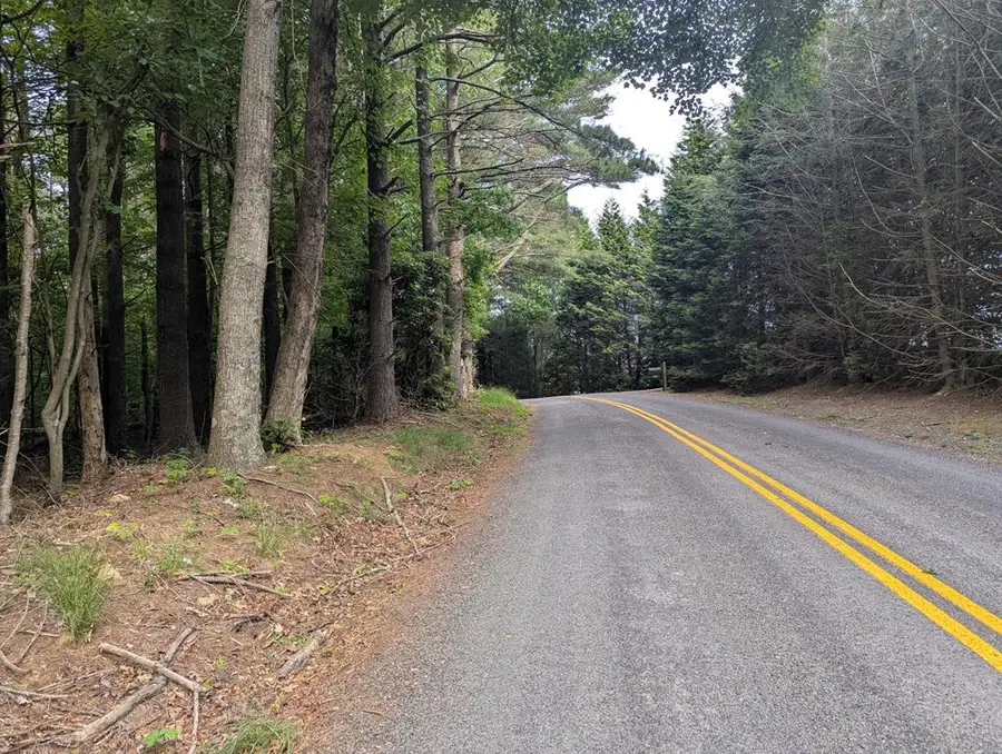 0 Red Rough Road, Meadows Of Dan, VA 24120 - Image #3