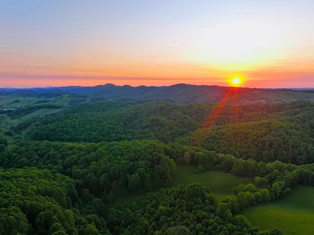 1665 Tiptop Rd, North Tazewell, VA 24630 - Image #1