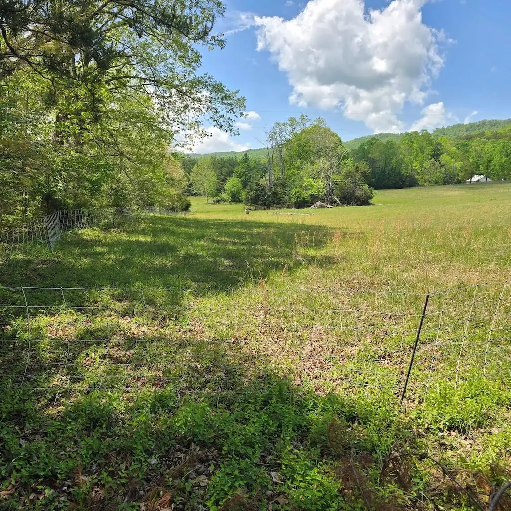 TBD Flatwoods RD, Elliston, VA 24087 - Image #1