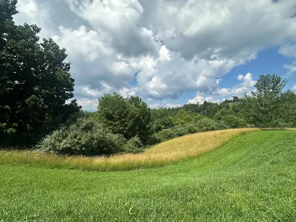 TBD York Ridge Estates, Mouth of Wilson, VA 24363