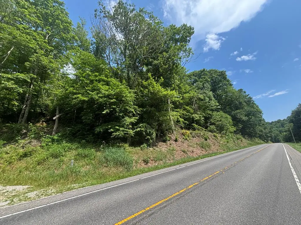 TBD Elk Creek Highway, Independence, VA 24348 - Image #1