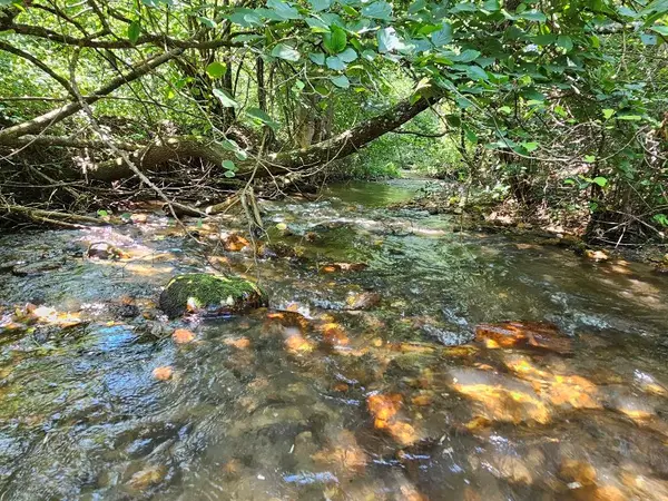 TBD Wisler Dr, Fancy Gap, VA 24328