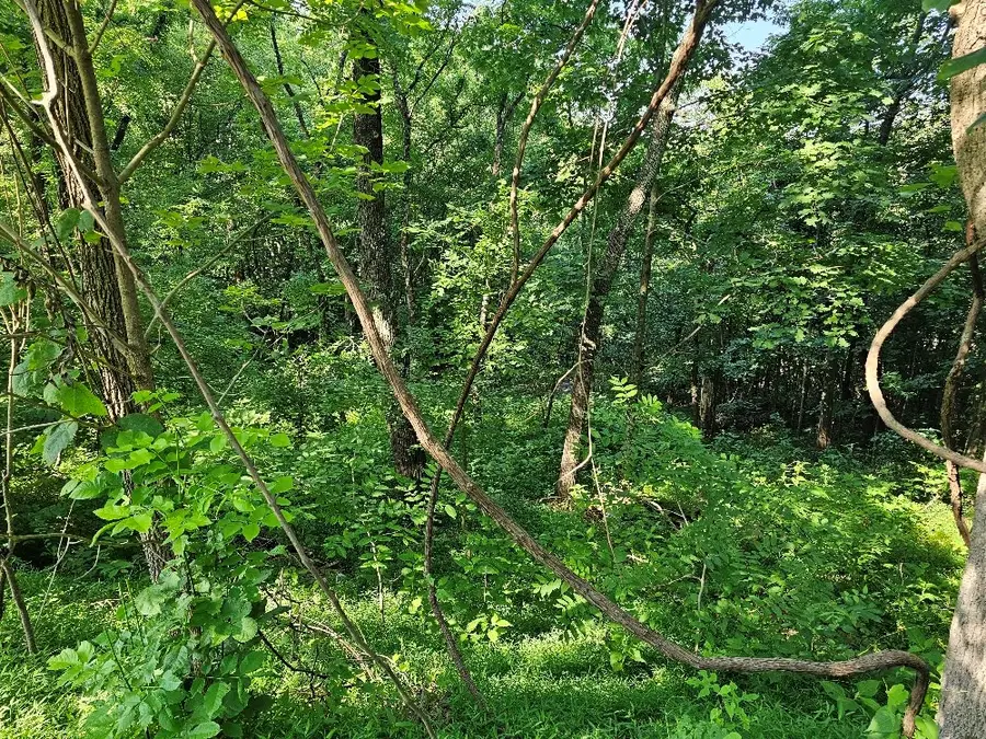 TBD Wisler Dr, Fancy Gap, VA 24328 - Image #3