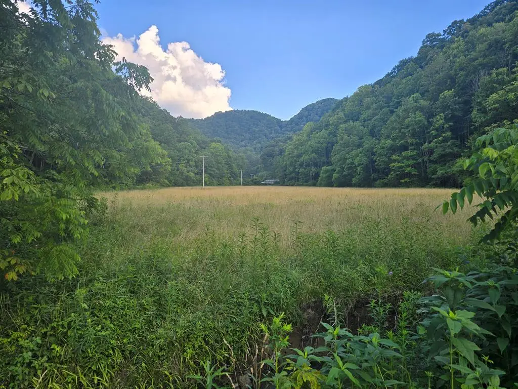 TBD Lickbranch Road, North Tazewell, VA 24630 - Image #1