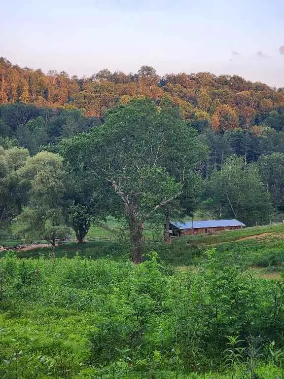 523 Home Place Ln, Troutdale, VA 24378