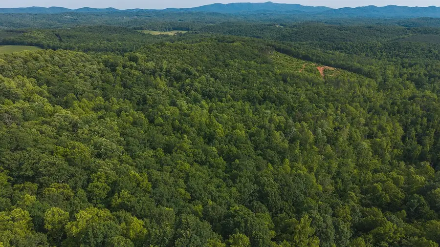 Lot 5 Shortcut Dr, Woolwine, VA 24185 - Image #2