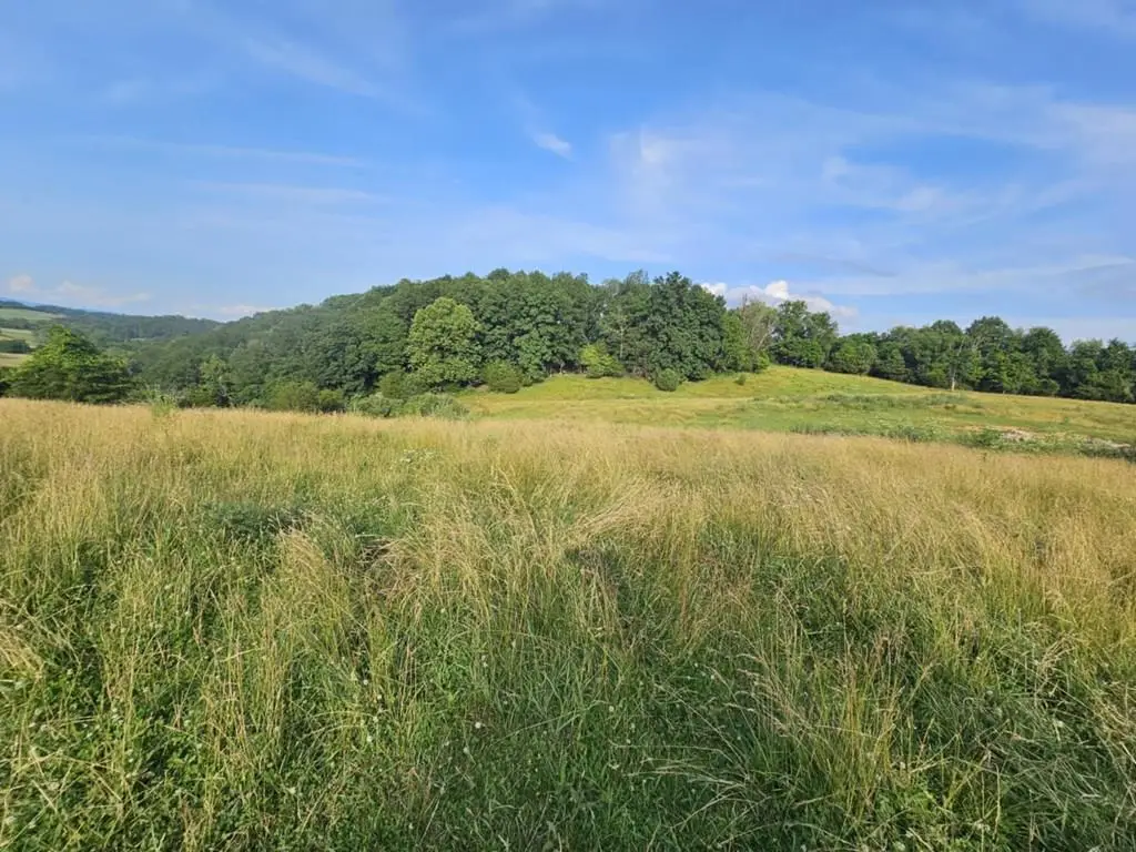 TBD QUITE ACRES LANE, Glade Spring, VA 24340 - Image #1