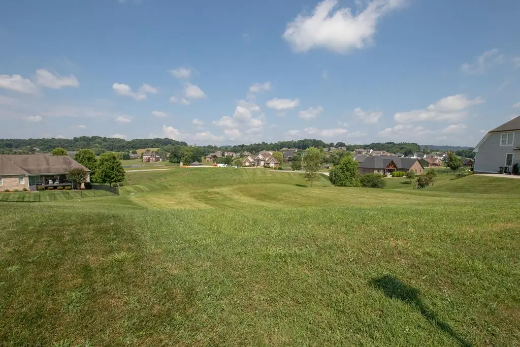 112 Cardinal Point, Blountville, TN 37617 - Image #1