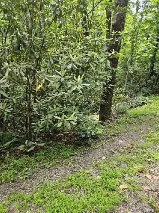 Lot E24 Otter Creek Trail, Fancy Gap, VA 24328 - Image #2