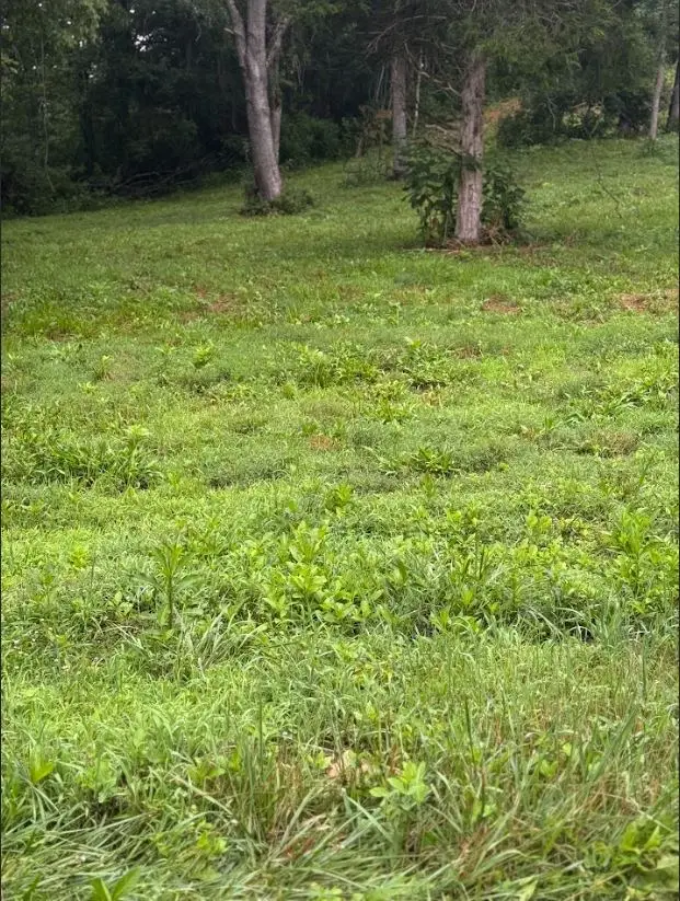 Address Withheld By Seller, Richlands, VA 24641 - Image #2