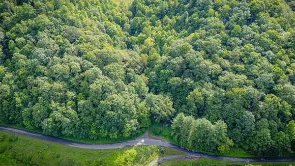 TBD Lynn Springs Rd, Swords Creek, VA 24649