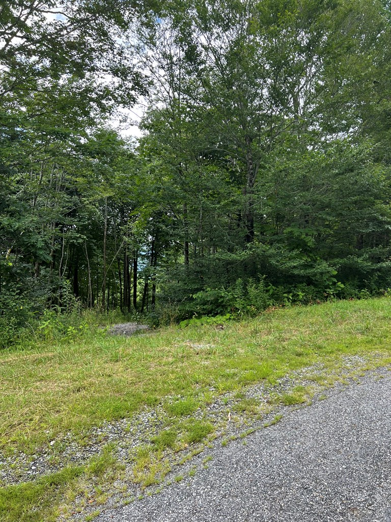 TBD Holiday Lane, Whitetop, VA 24292 - Image #2