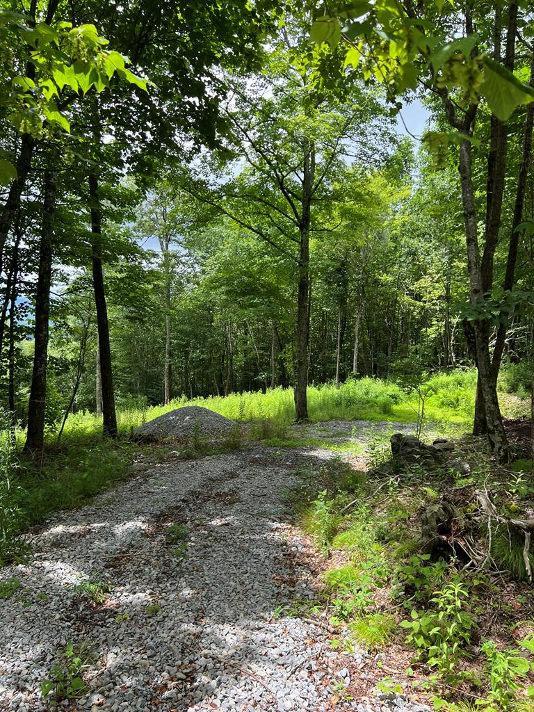 TBD Holiday Lane, Whitetop, VA 24292 - Image #3