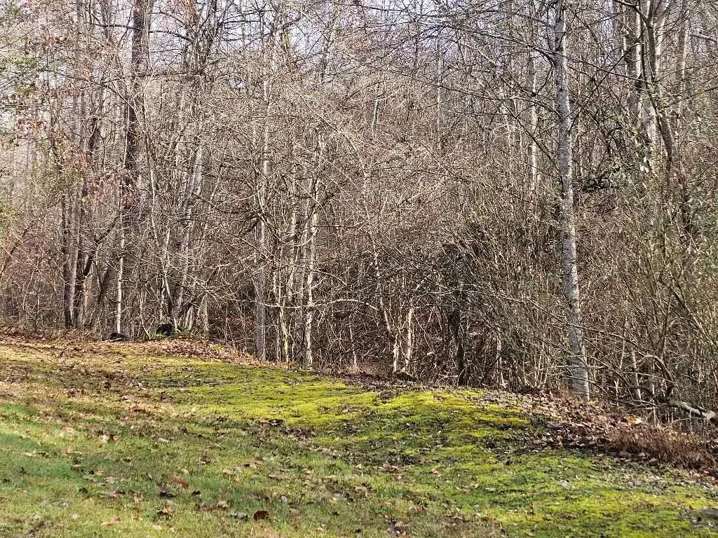 4232 Russell Creek Rd, Saint Paul, VA 24283 - Image #1