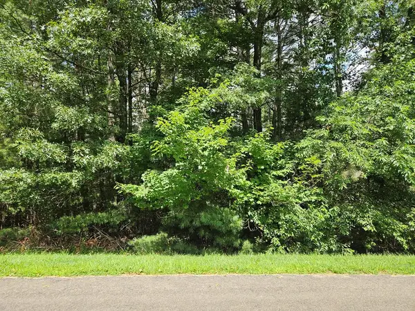 TBD Holly Run, Glade Valley, NC 28627