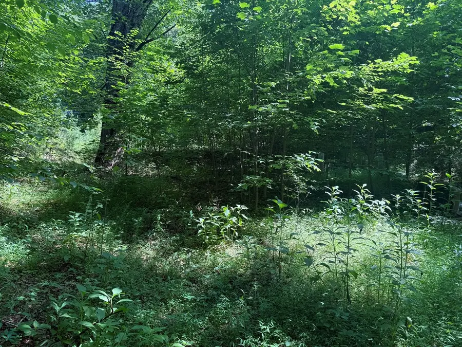 24 Copperhead Rd, Cana, VA 27317 - Image #3