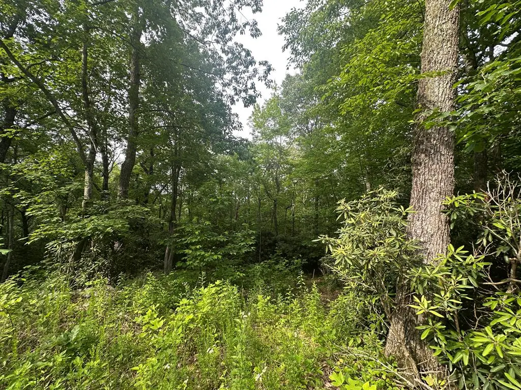 TBD TBD Seven Springs, Dan River, VA 24328 - Image #1