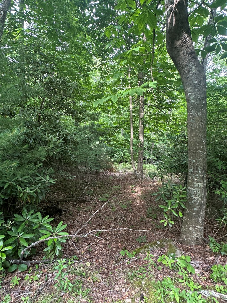 TBD TBD Seven Springs, Dan River, VA 24328 - Image #3