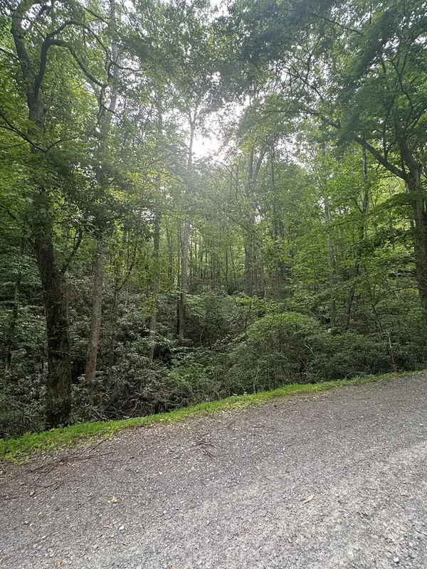 TBD TBD Seven Springs, Ararat, VA 24328