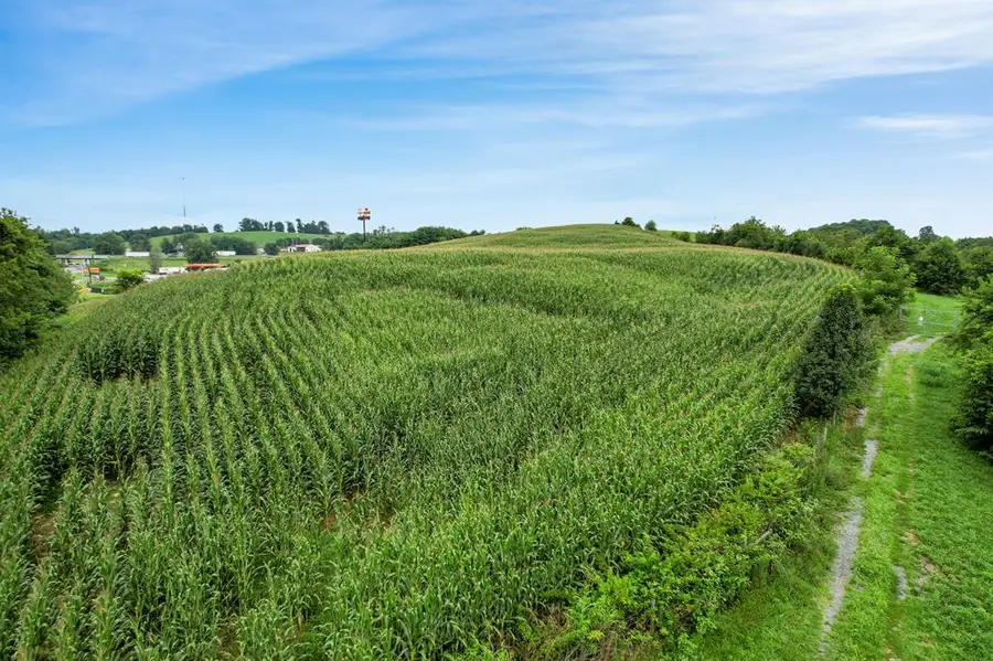 0 Glenbrook Avenue, Meadowview, VA 24361 - #3