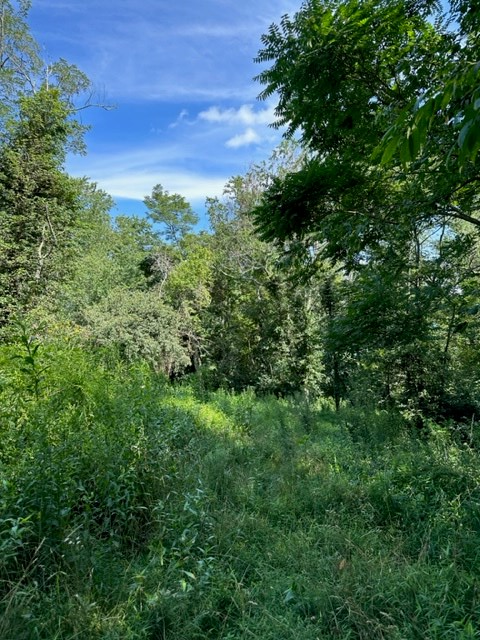 132 Point Lookout Ln., Independence, VA 24348 - Image #2