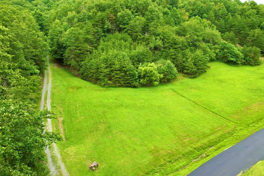 TBD STILL HOUSE HOLLOW ROAD, Saltville, VA 24370 - Image #1