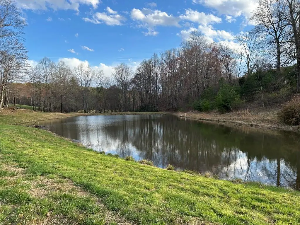 TBD IKE SLATE LANE, Ararat, VA 24053 - Image #1