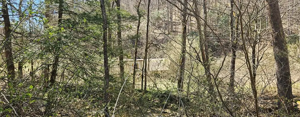 3687 Old Kentucky Turnpike RD, Raven, VA 24639 - Image #1