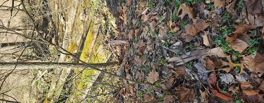 3687 Old Kentucky Turnpike RD, Raven, VA 24639 - Image #2