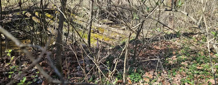 3687 Old Kentucky Turnpike RD, Raven, VA 24639 - Image #3