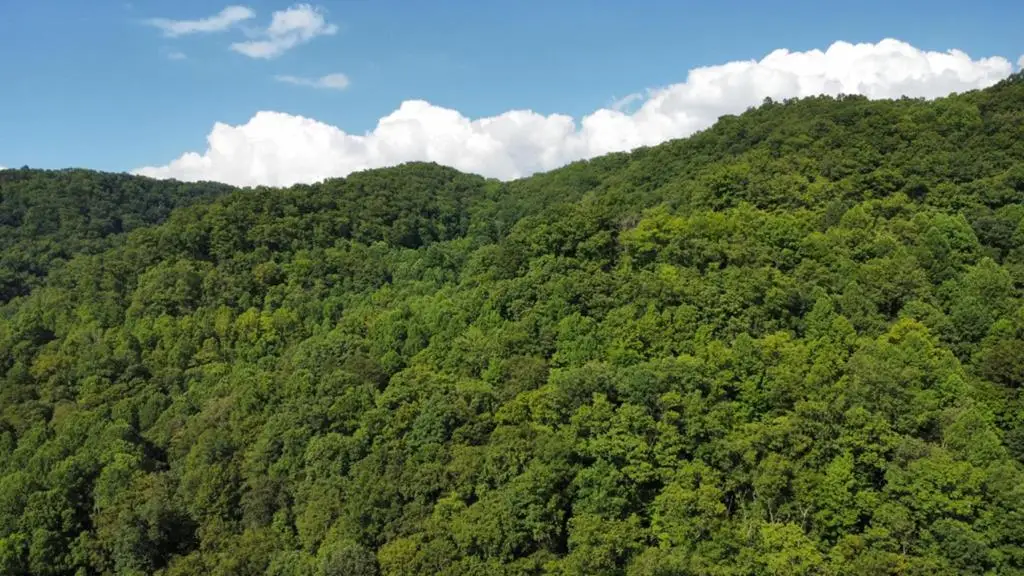 TBD Nanny Branch Rd, Grundy, VA 24614 - Image #1