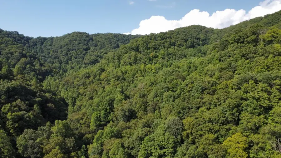 TBD Nanny Branch Rd, Grundy, VA 24614 - Image #3