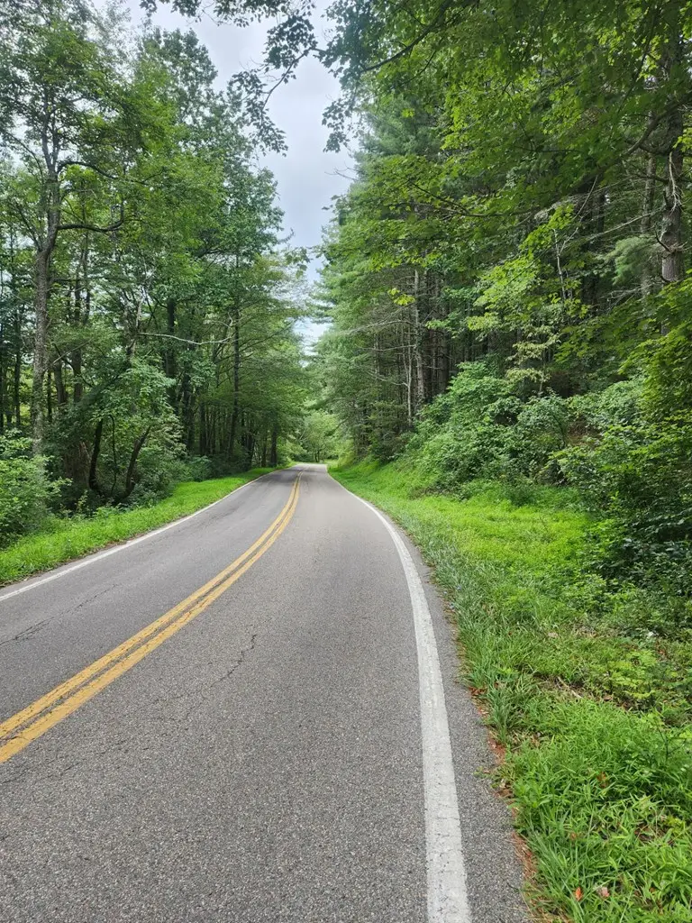 TBD Old Bridle Creek Rd, Independence, VA 24348 - Image #2