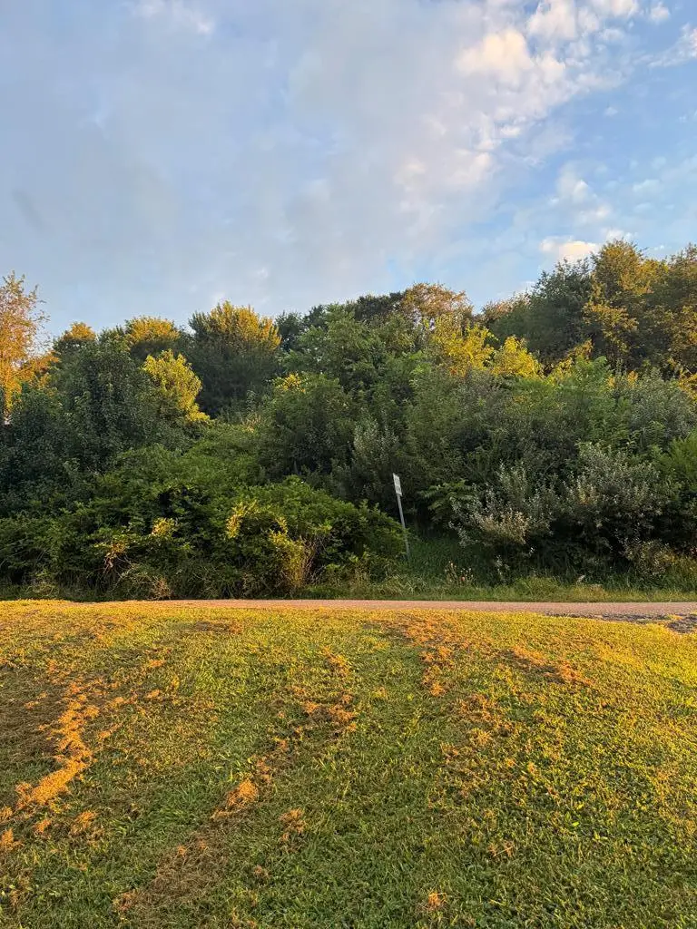 TBD Maid St, Pounding Mill, VA 24637 - Image #2