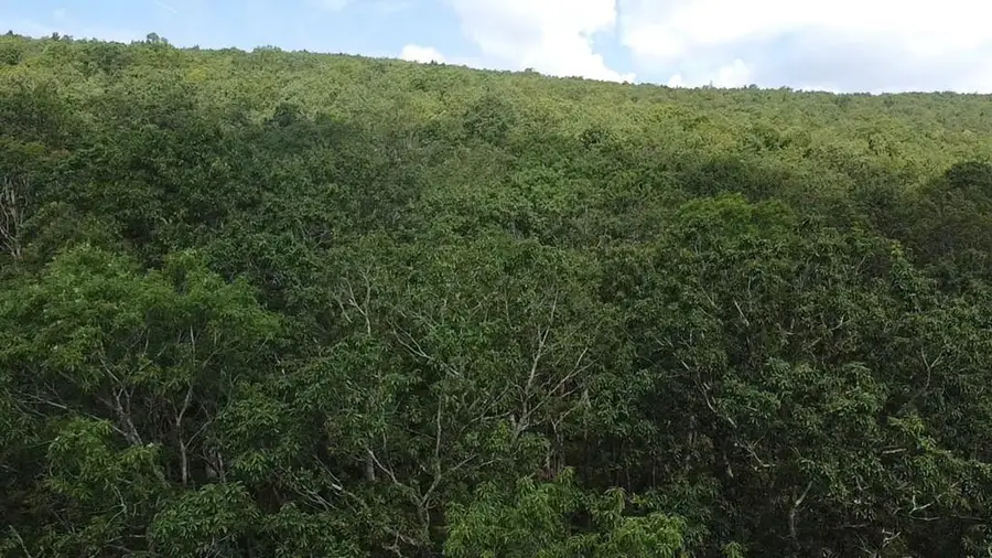 56-A Ridgetop Lane, Tazewell, VA 24651 - Image #2