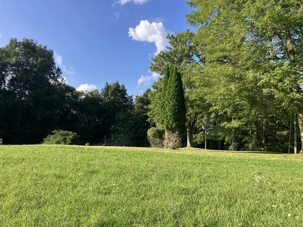 437 Shelor Rd SW, Meadows of Dan, VA 24120