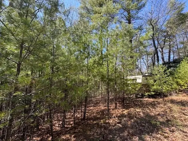 0 Buck Hollow Trail, Sugar Grove, VA 24375 - Image #2