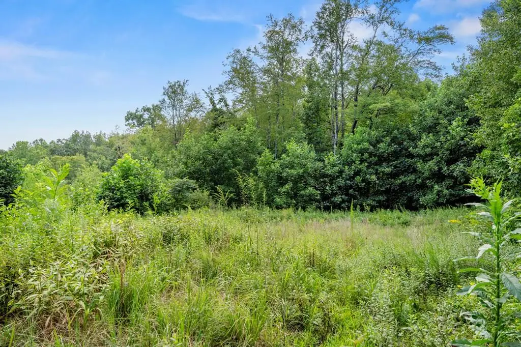 TBD Old Mill Court, Fancy Gap, VA 24328 - Image #1